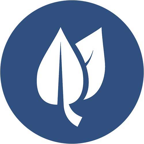 HSE
